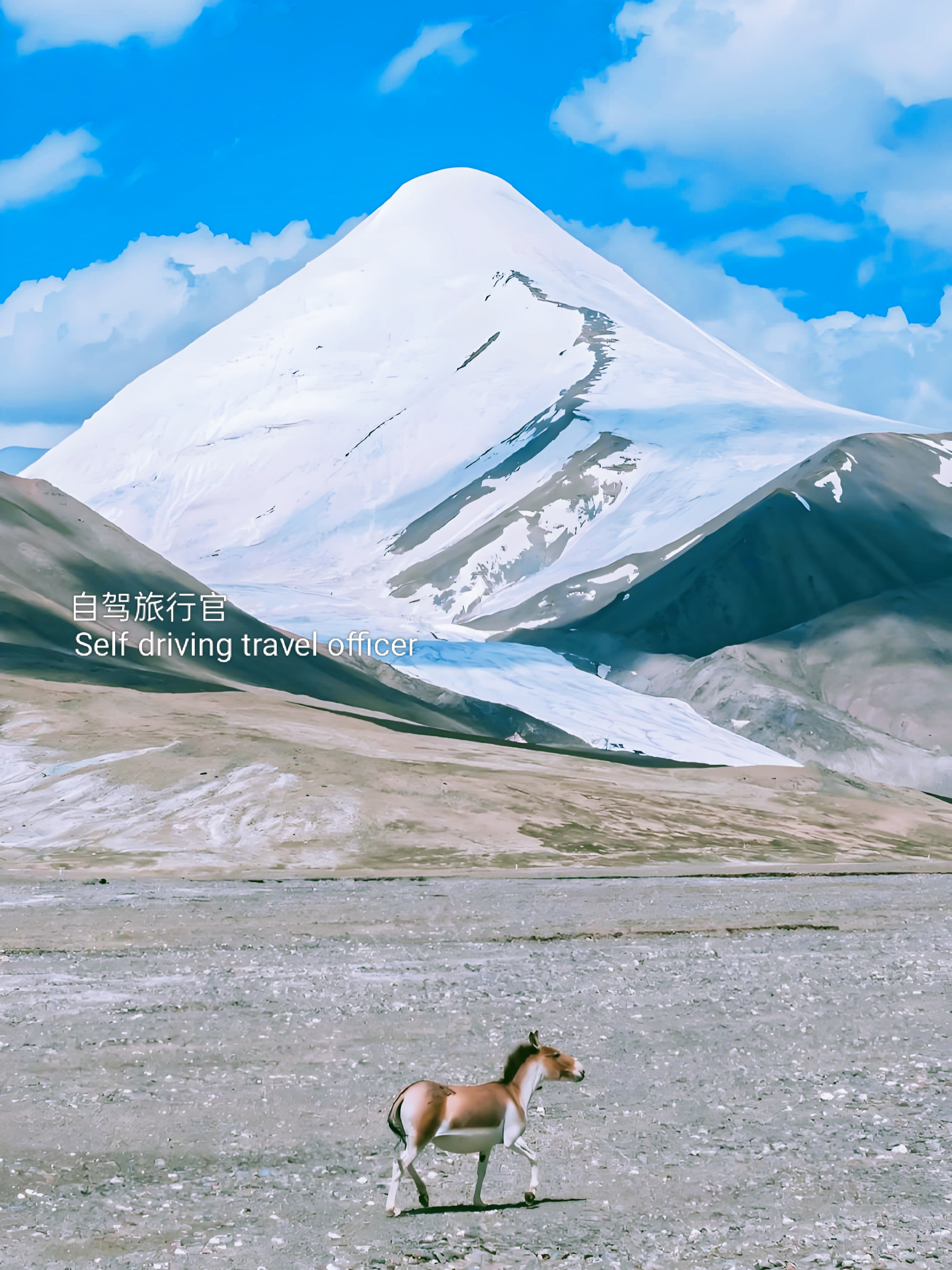 多米体育官网-雪域高原战士