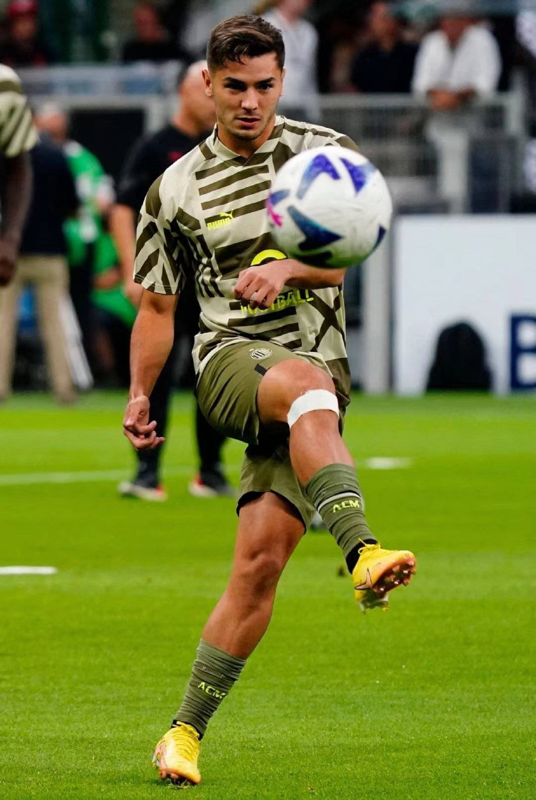 多米体育-博洛尼亚队员