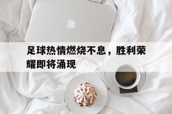 胜利足球winner evolution